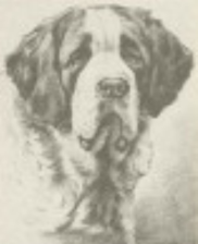 Aufgrund einer technischen Störung seitens des Telefonanbieters ist die 1. Vorsitzende und die Geschäftsstelle aktuell nicht erreichbar. Wir bedauern diese Situation sehr und hoffen, dass dies schnellstmöglich behoben wird.